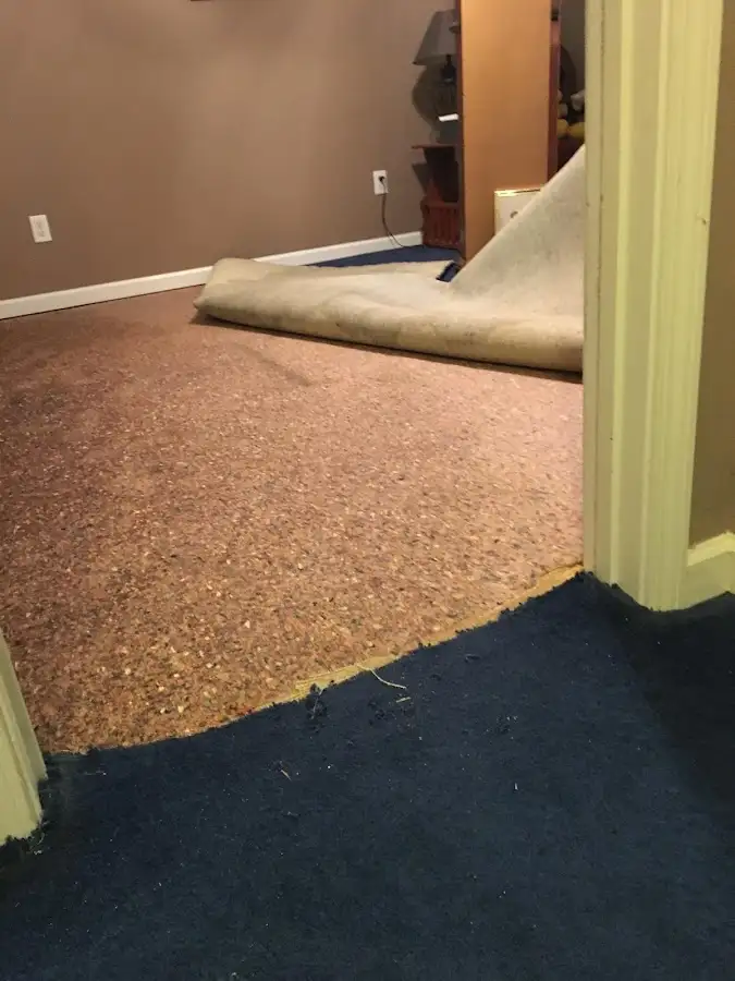 Carpet pad removal revealing water damage during Drying & Dehumidification in Tysons