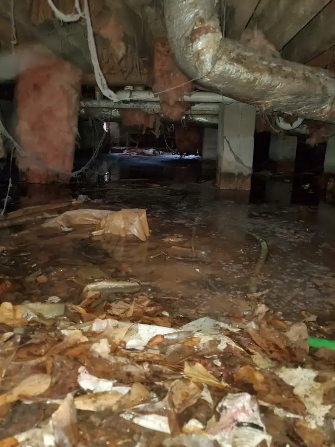 Crawl space flood assessment for Leak Detection & Repair in Tysons